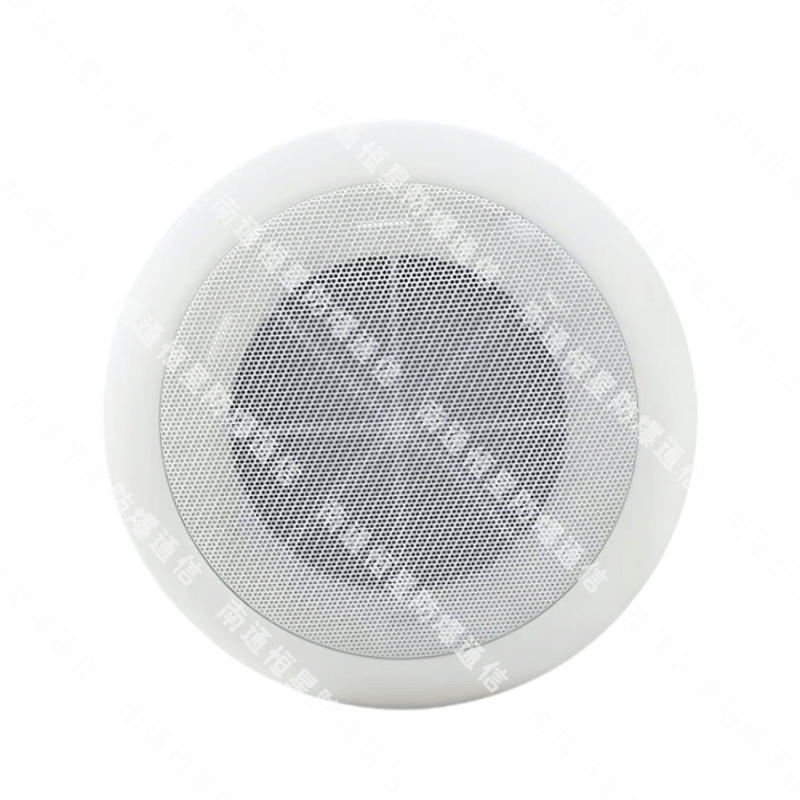 IP吸顶式音响XD-2FA IP