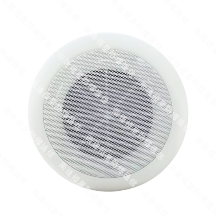 3.IP吸顶式音响XD-2FA IP